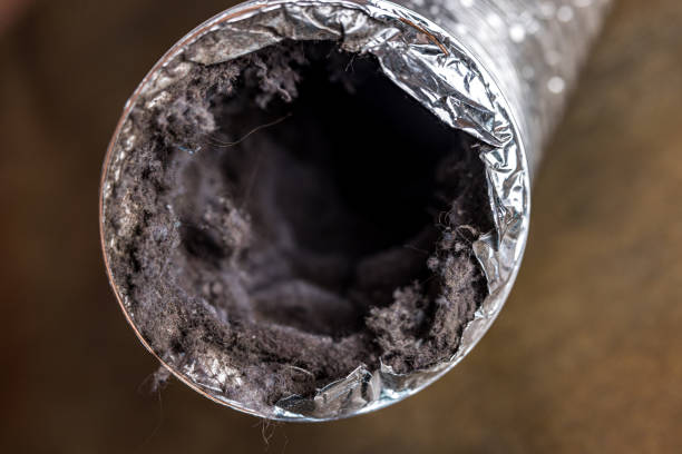 Best Affordable Duct Cleaning Services  in Kyle, SD